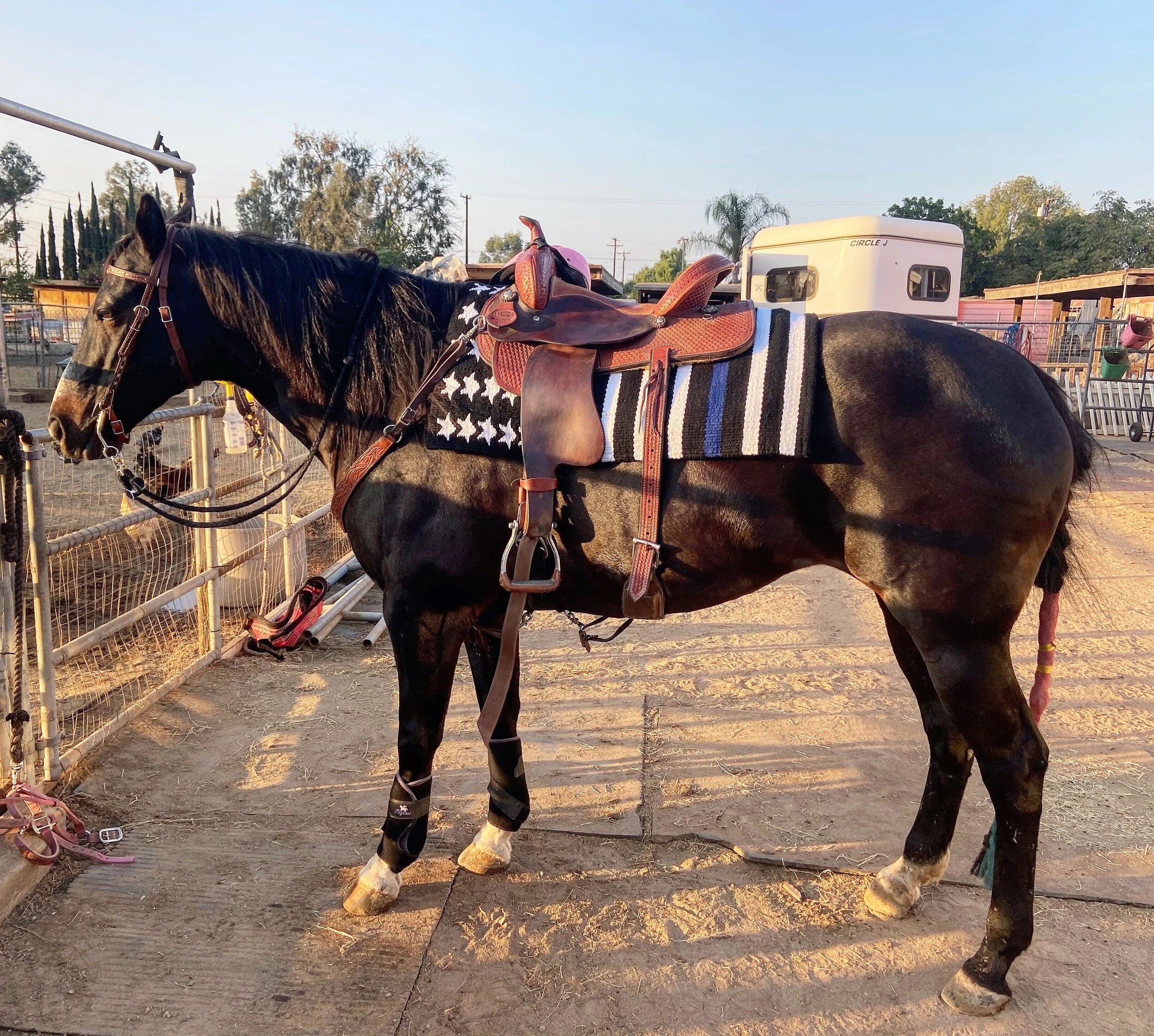 Thin Blue Line Ranch Pad