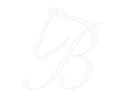 Bentley Show Pads - Home